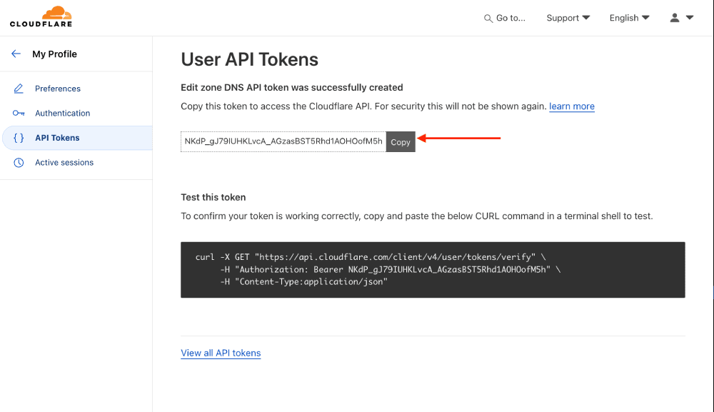 Cloudflare Integration step 2