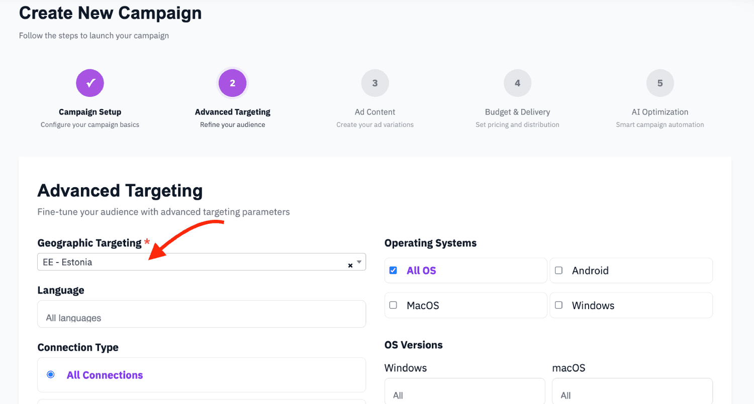 Step 3. Create a campaign in Traffic Nomads 3