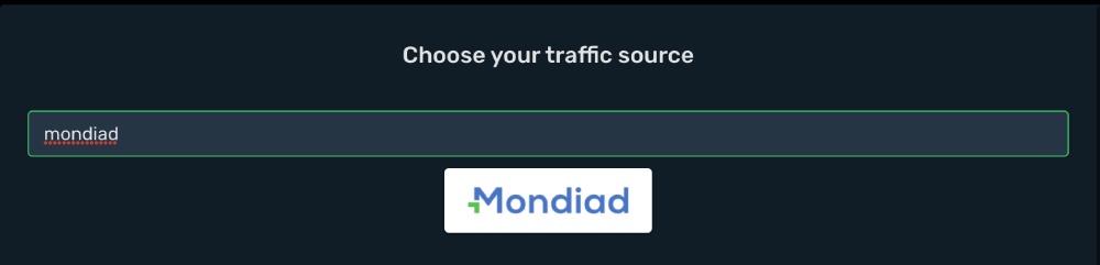 Setup Mondiad traffic source step 2